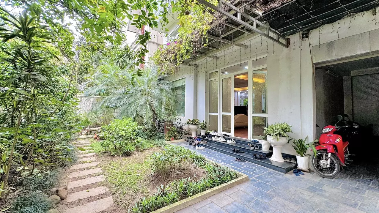 Hoang Mai