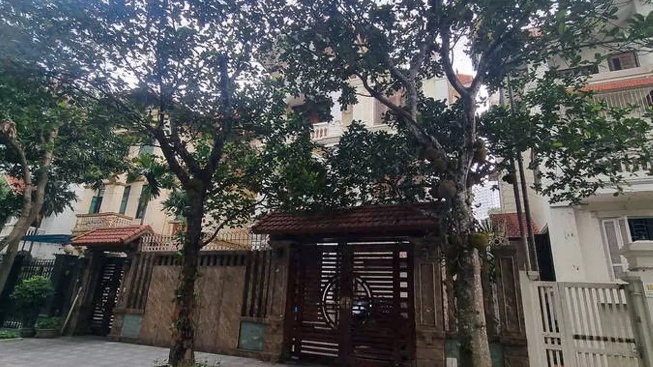 Hoang Mai