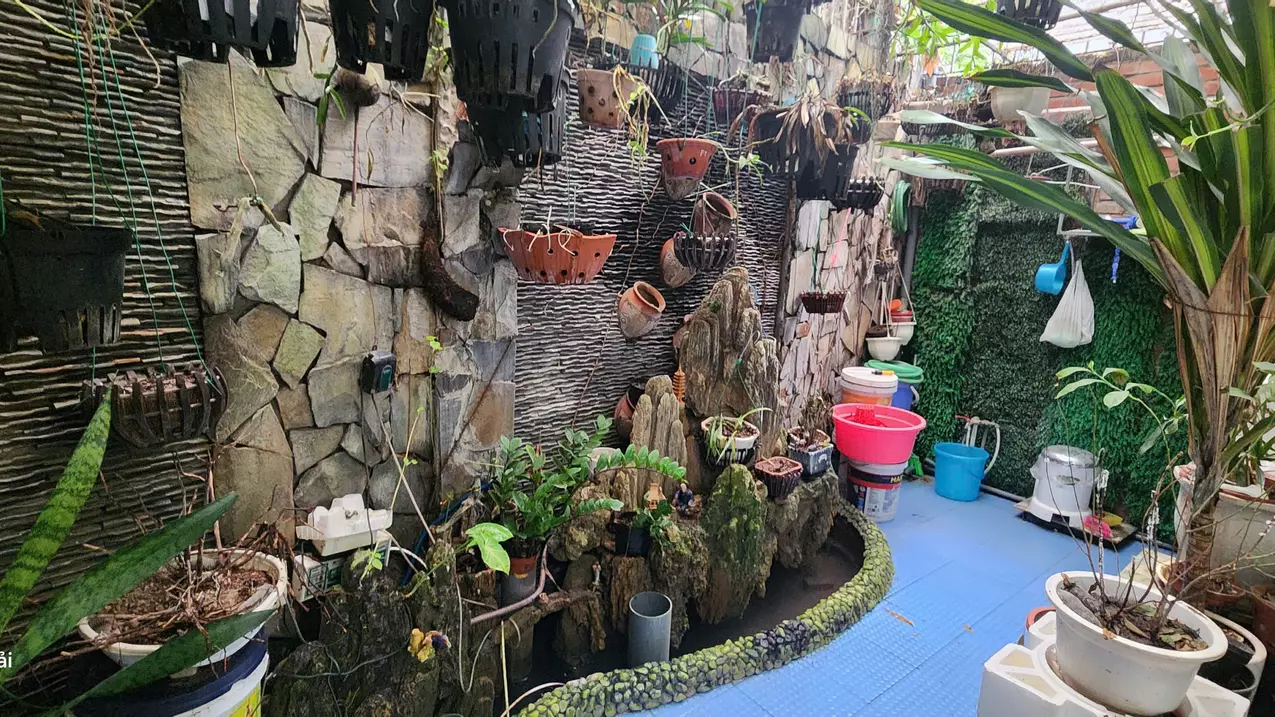Hoang Mai