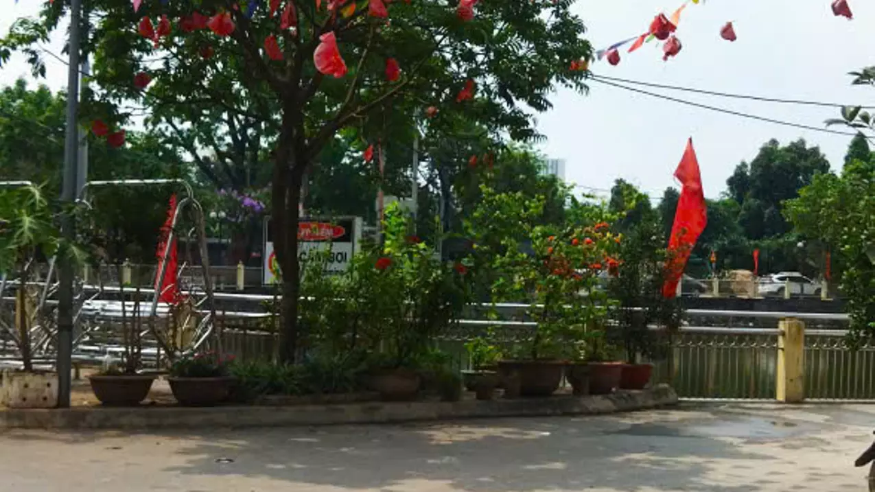 Hoai Duc