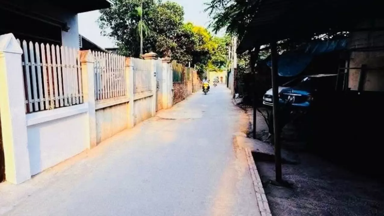 Nam Tu Liem