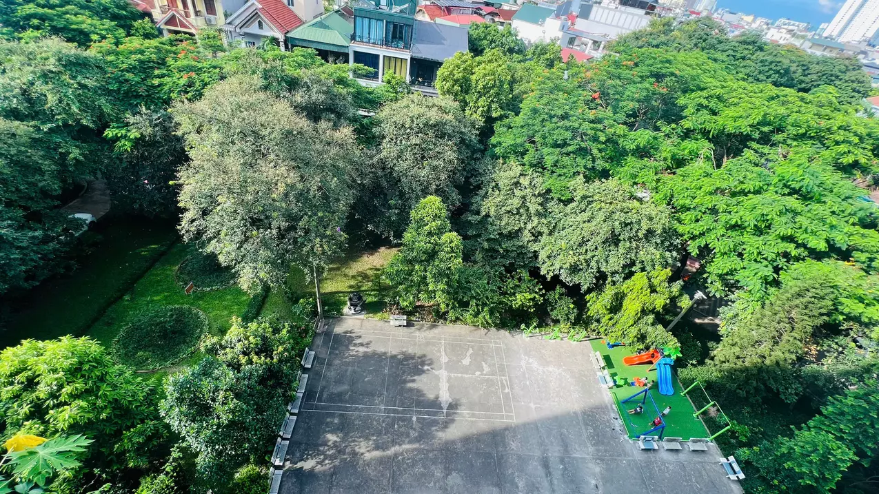 Hoang Mai