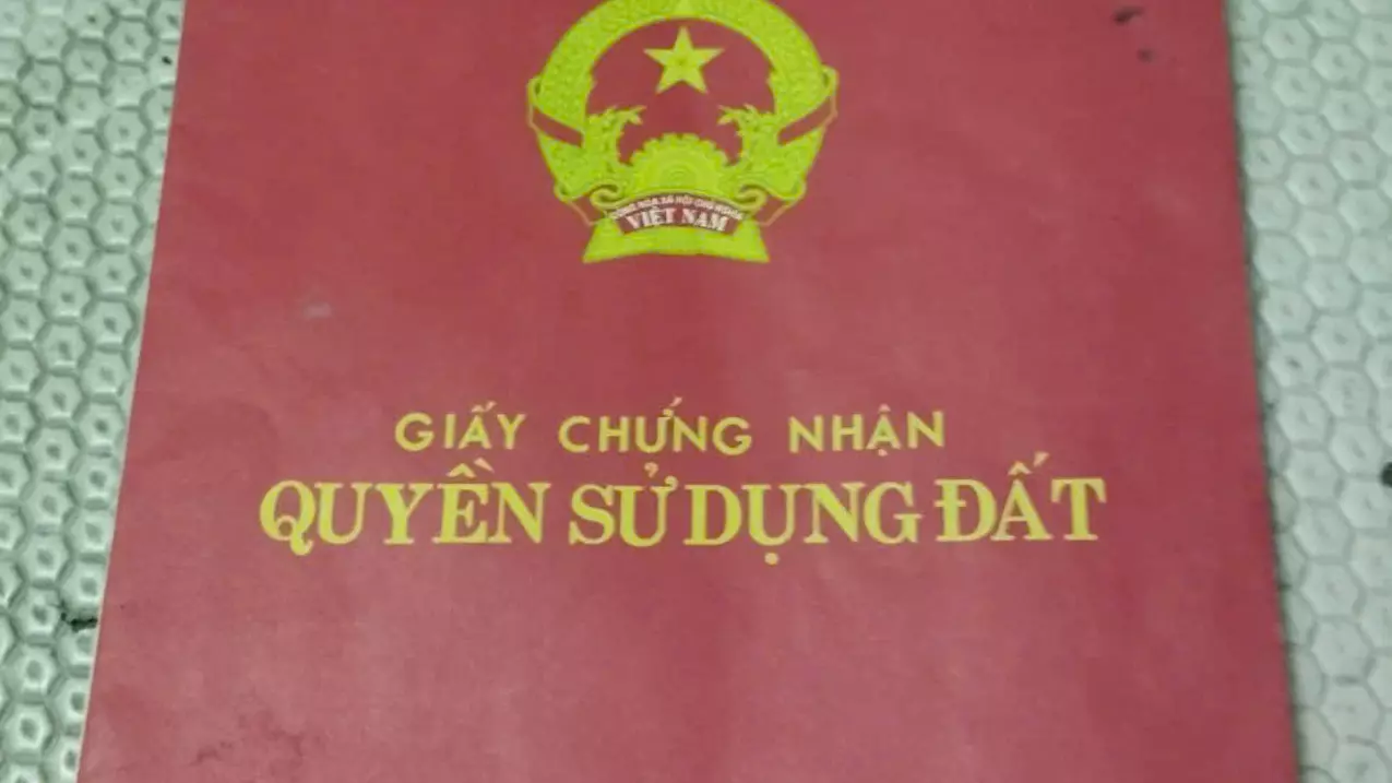 Hoai Duc