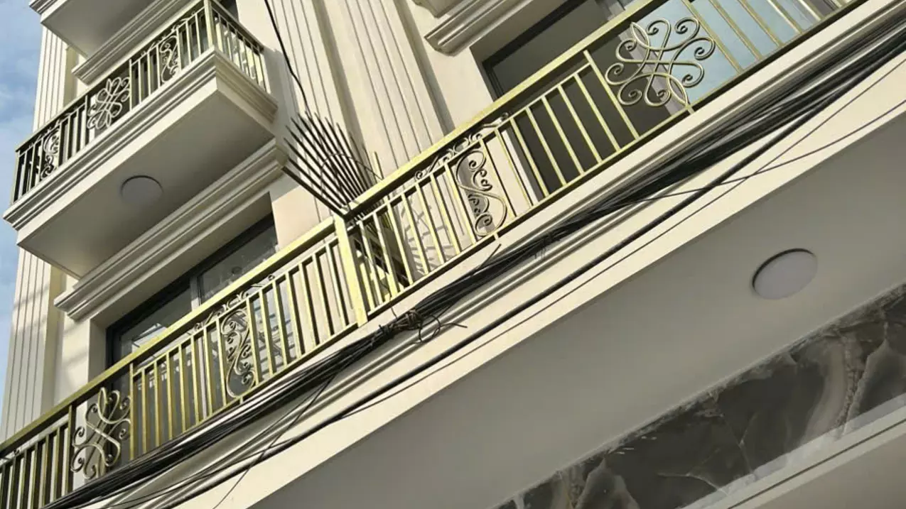 Le Chan
