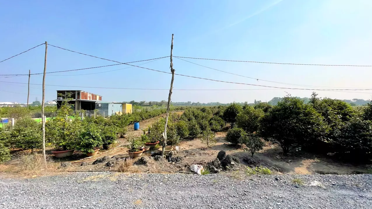 for sale 1000m2 9x111 garden land car road to the land