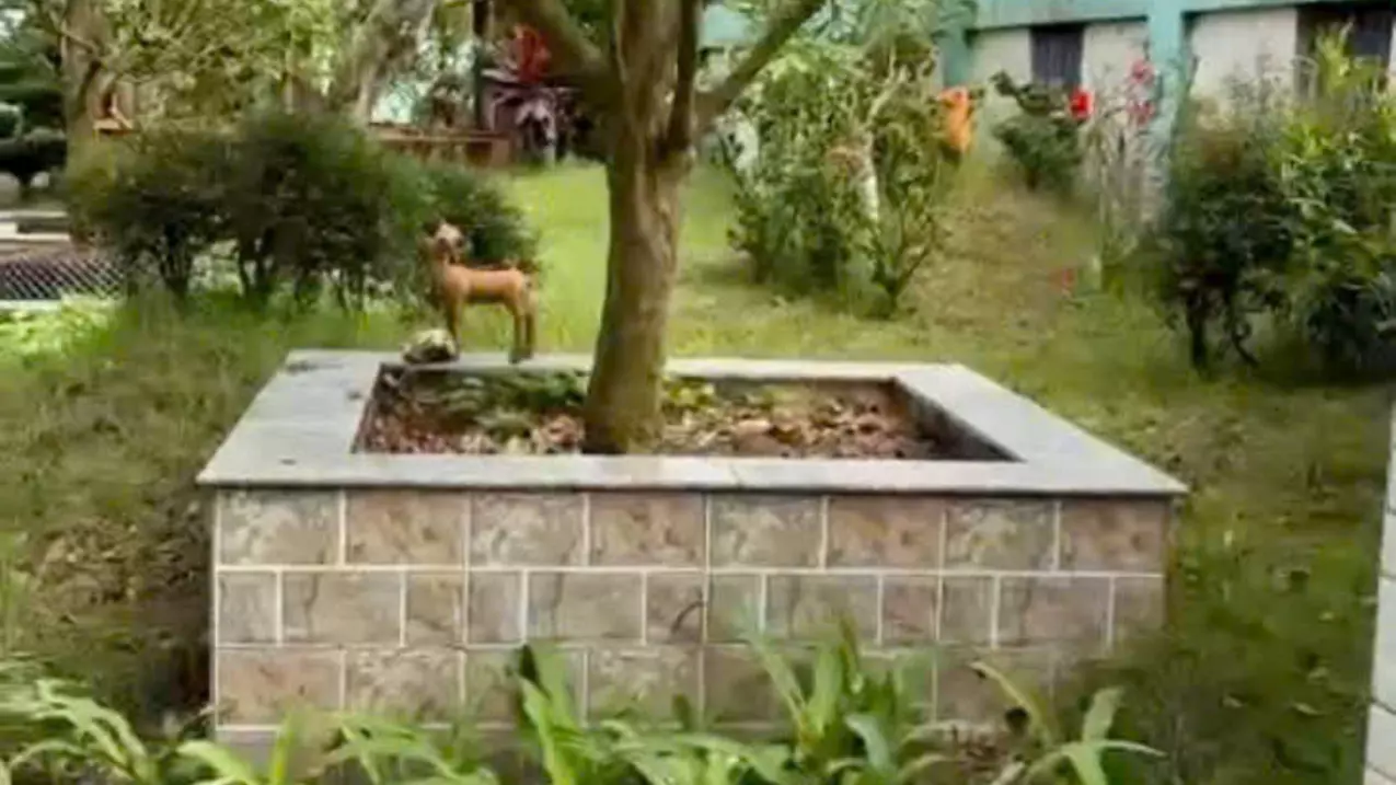 Cu Chi