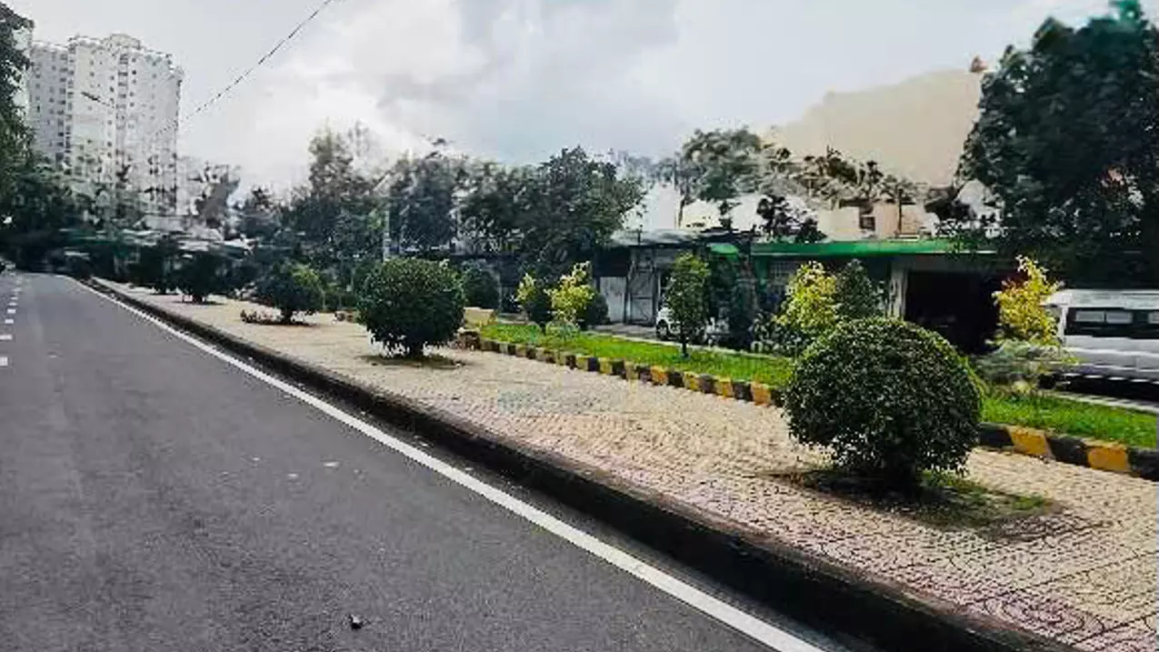 Tan Phu