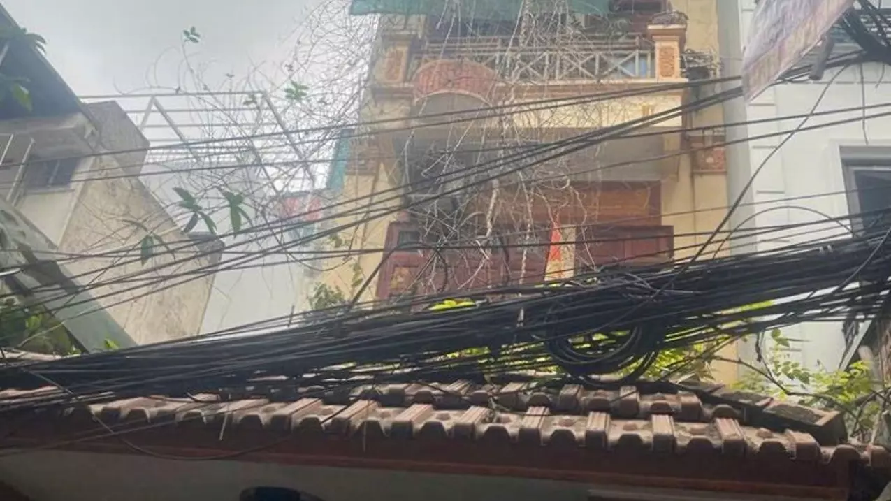 Hoang Mai