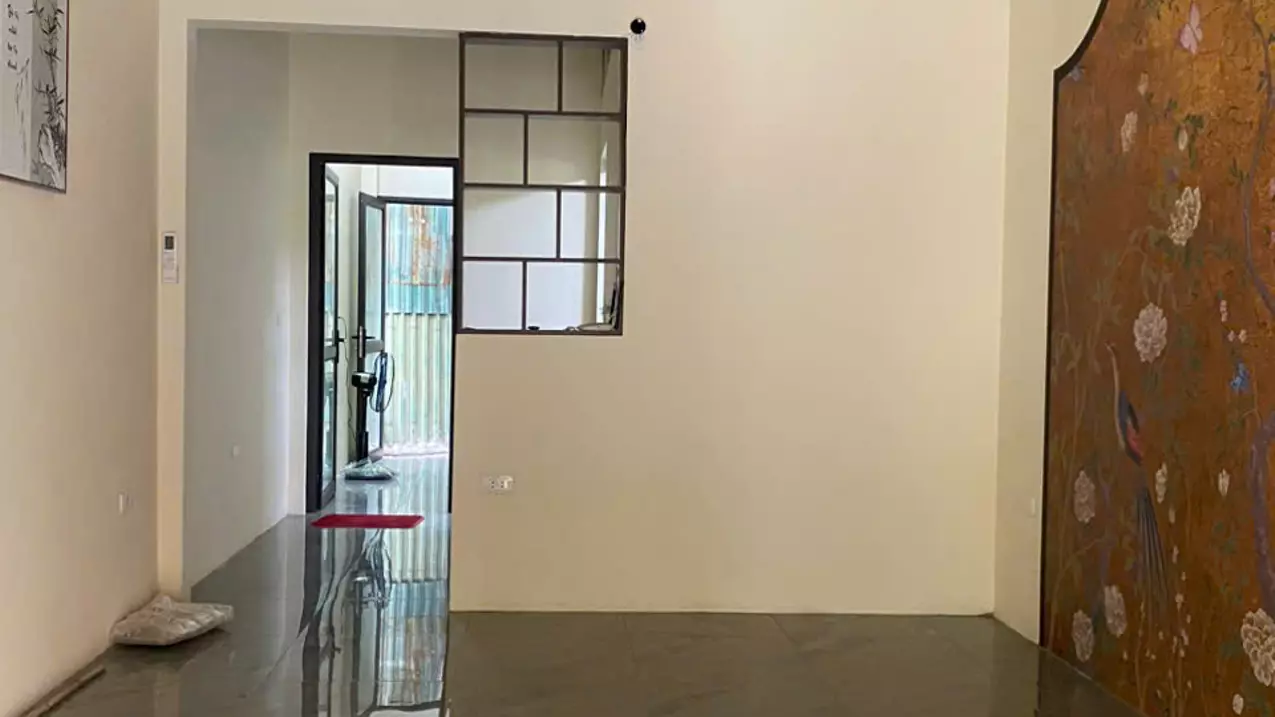 Dong Anh