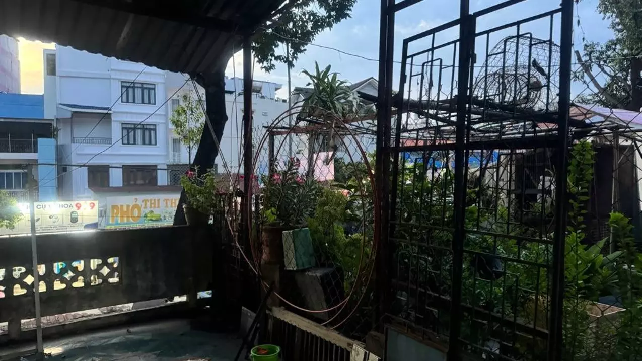 Tan Phu