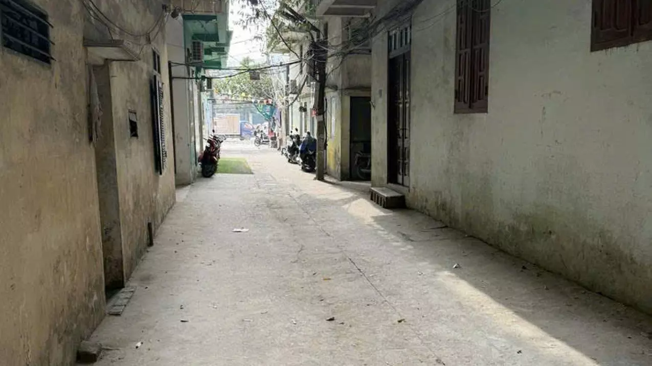 Hoang Mai