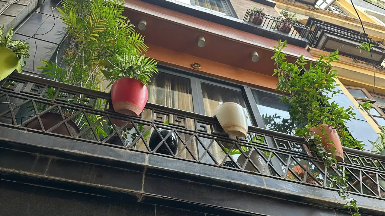 Youth
