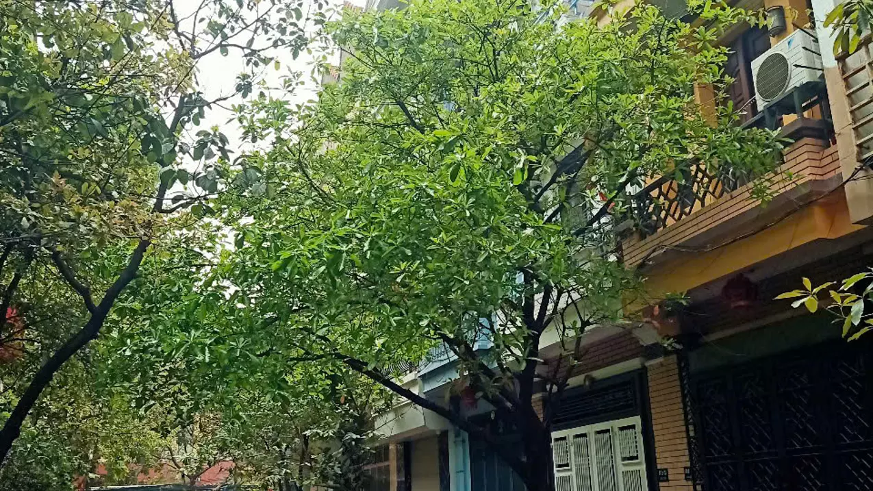 Nam Tu Liem