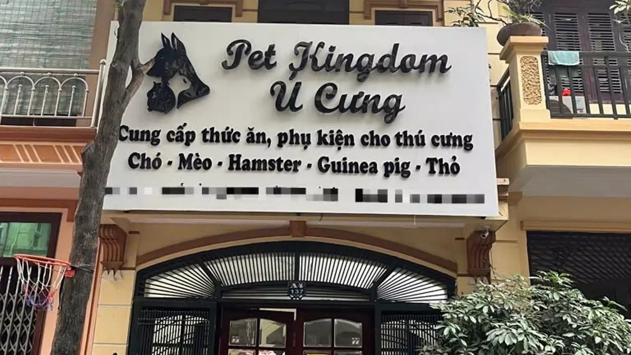 Hoang Mai