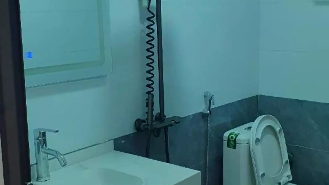 Ha Dong