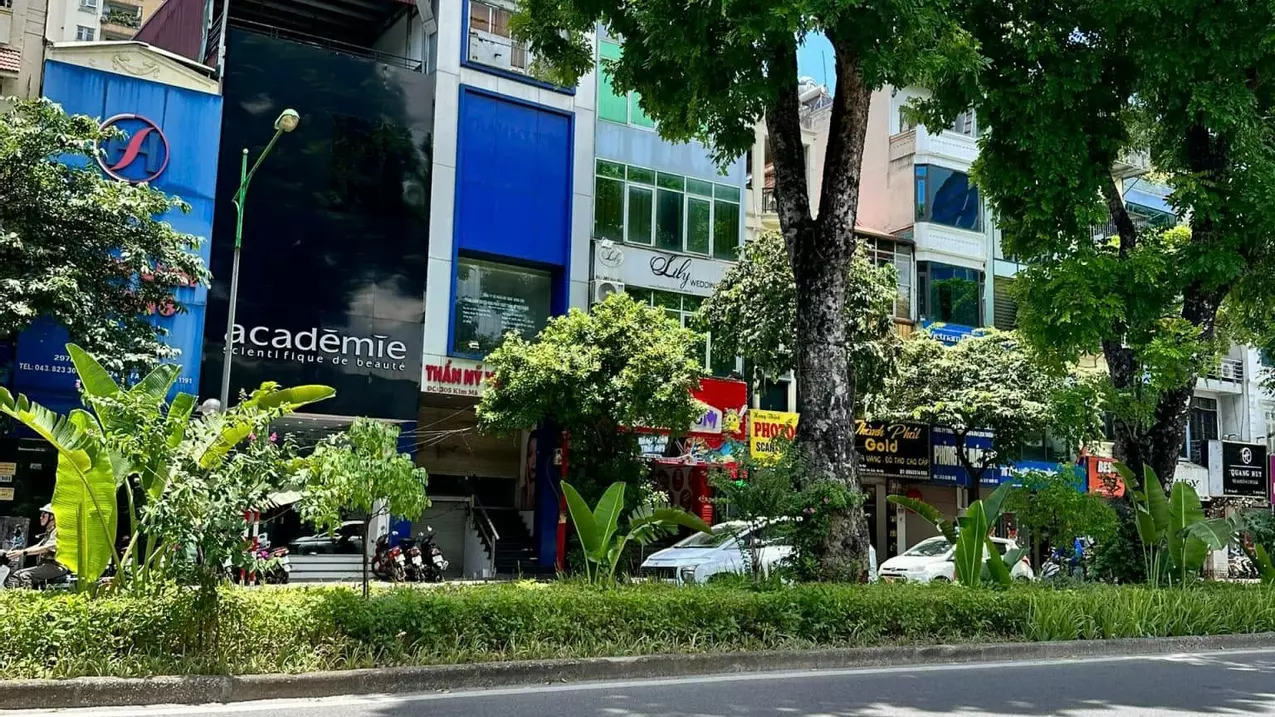 Ba Dinh