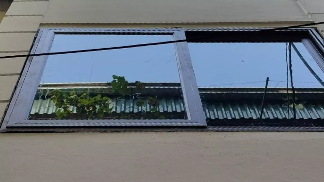Hoang Mai