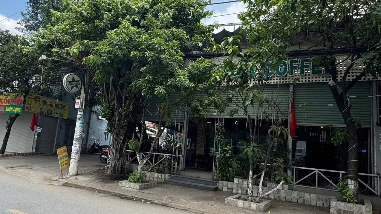 Binh Tan