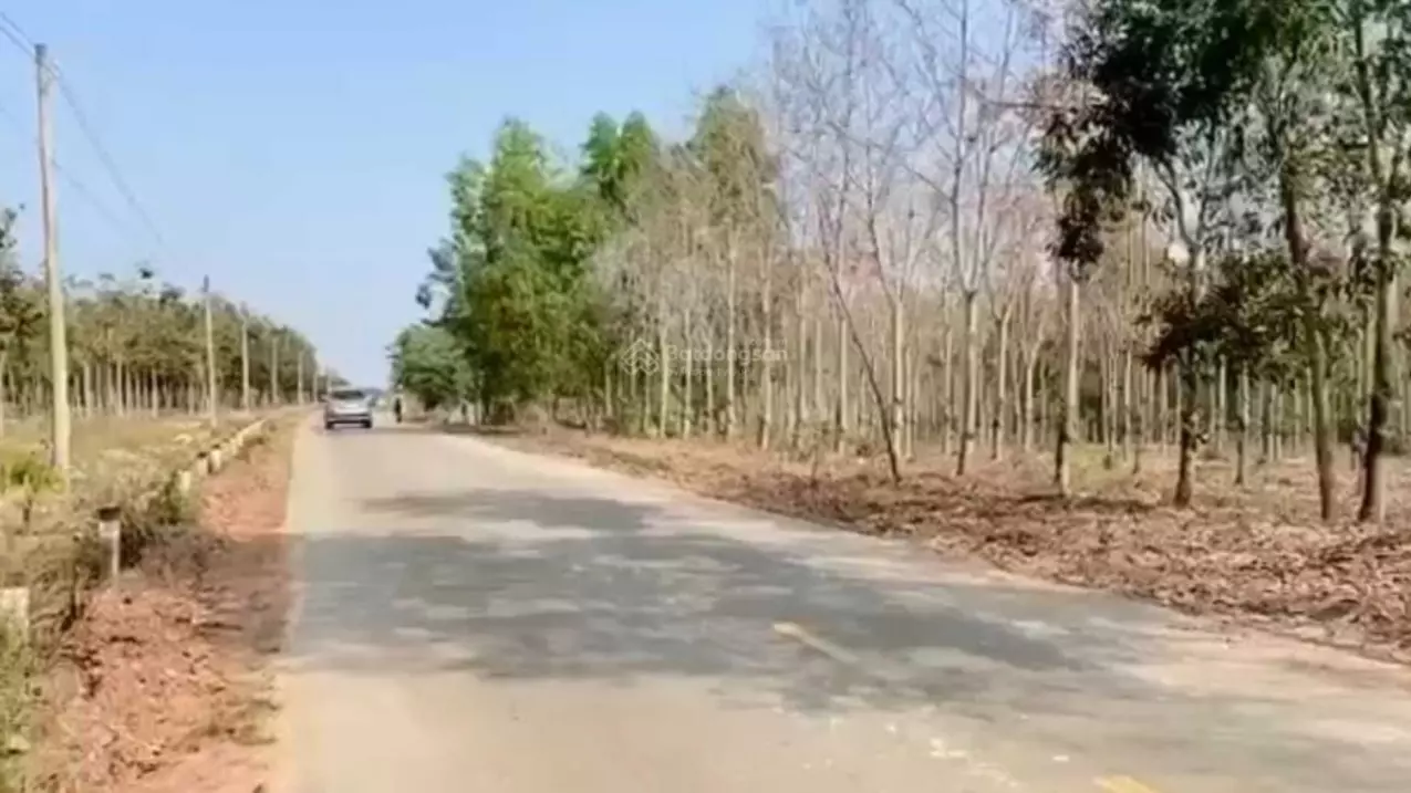 Bac Tan Uyen