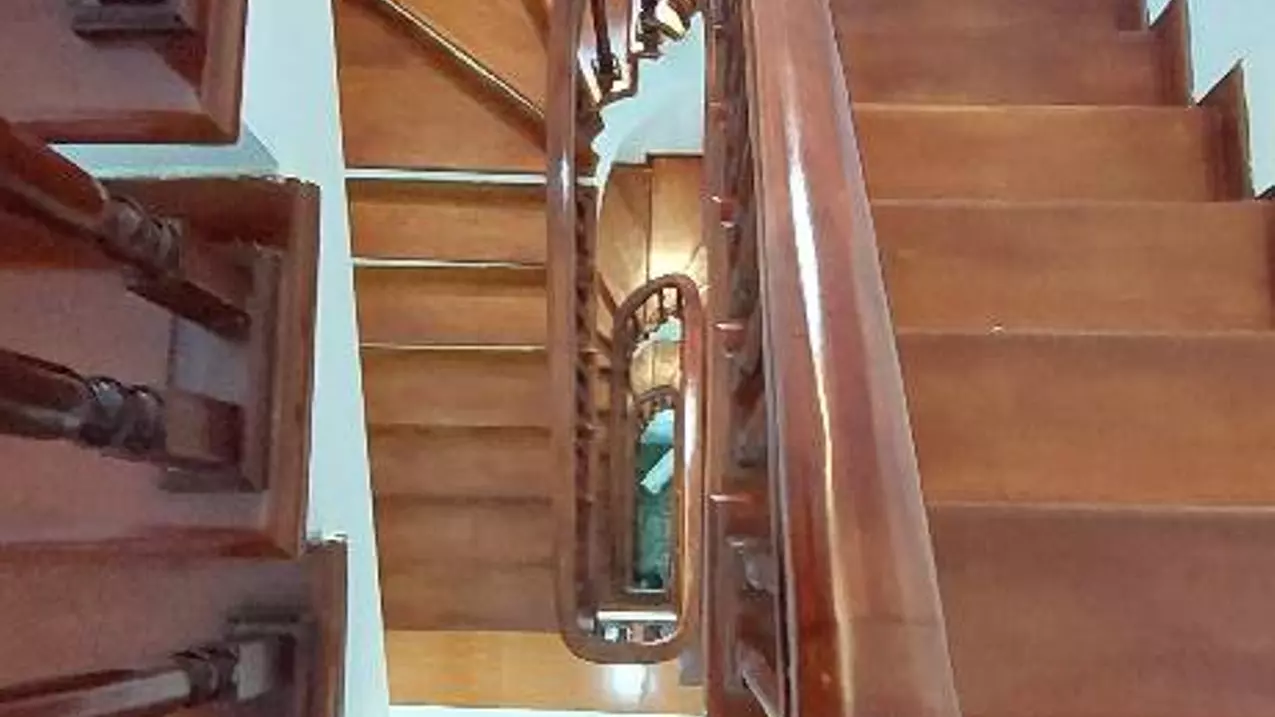 Hoang Mai