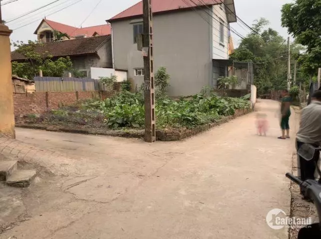 Dong Anh