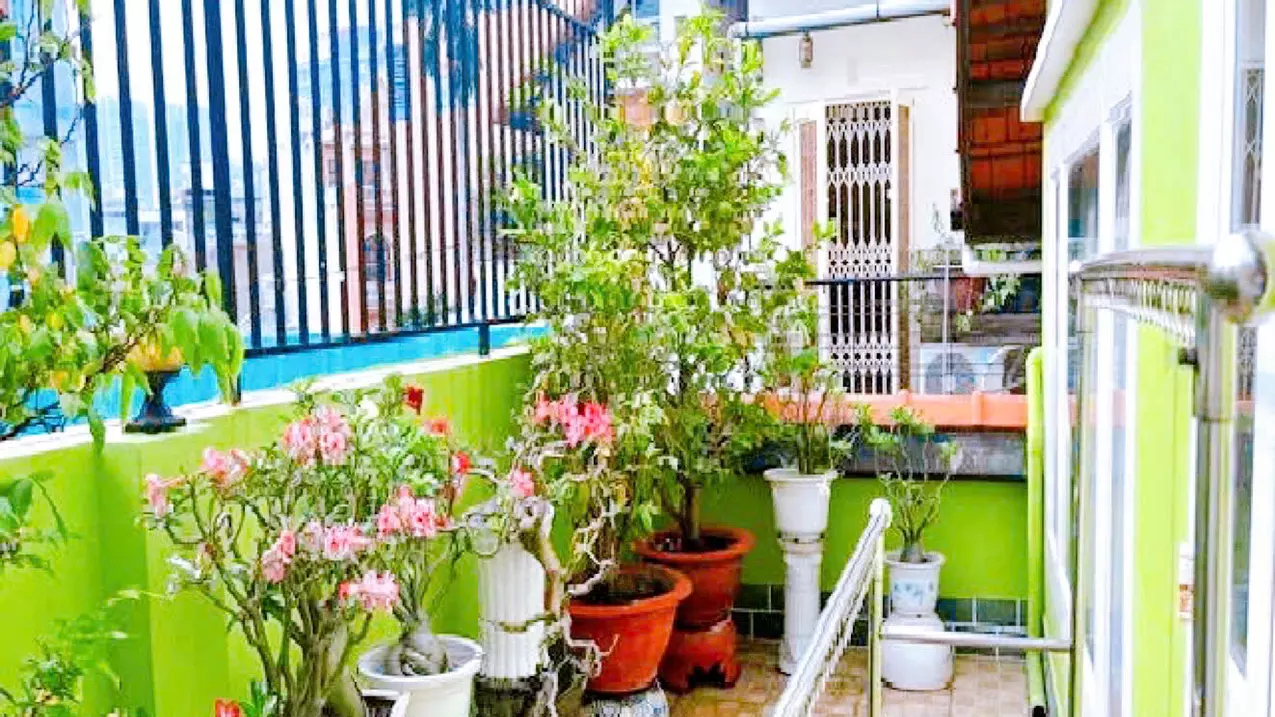 Tan Binh