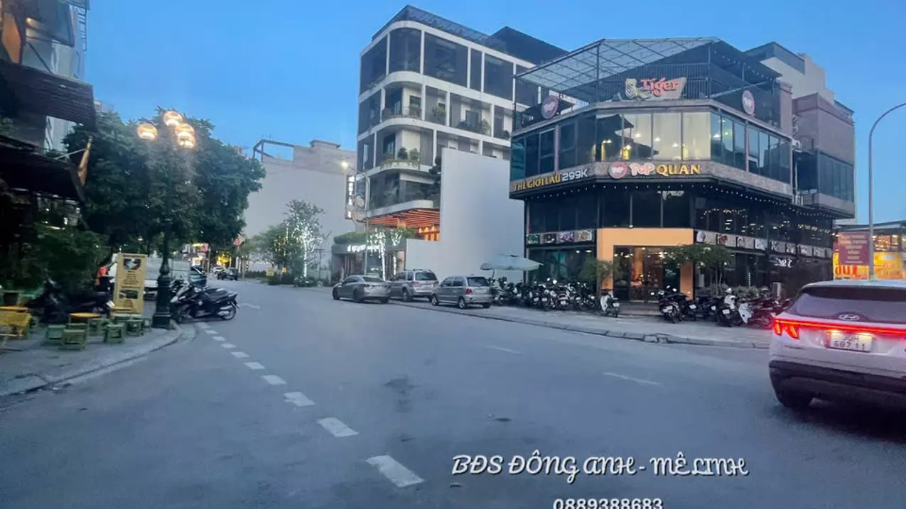 Dong Anh