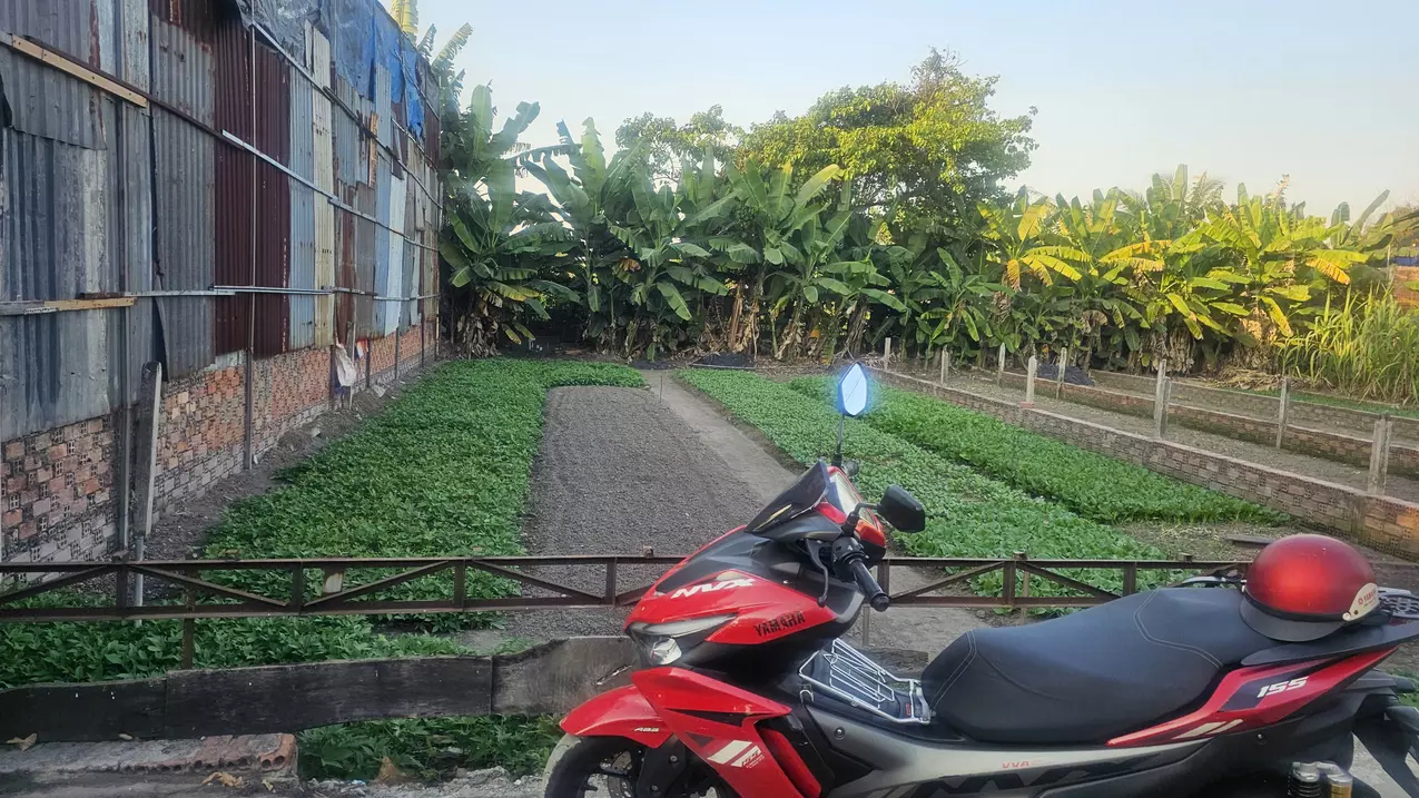 quick sale of beautiful lot of land with car need - good price in binh chanh.