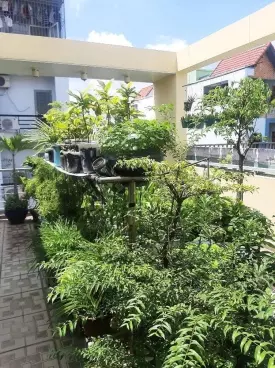 Tan Phu
