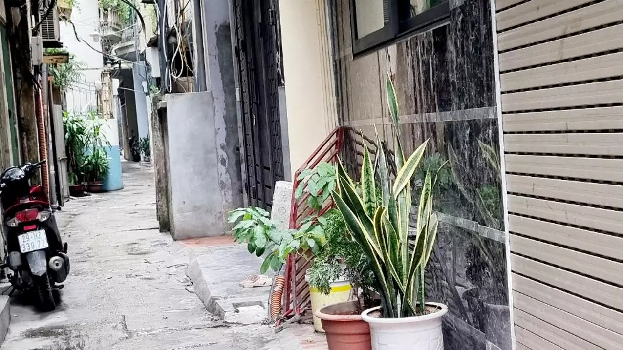 Hoang Mai