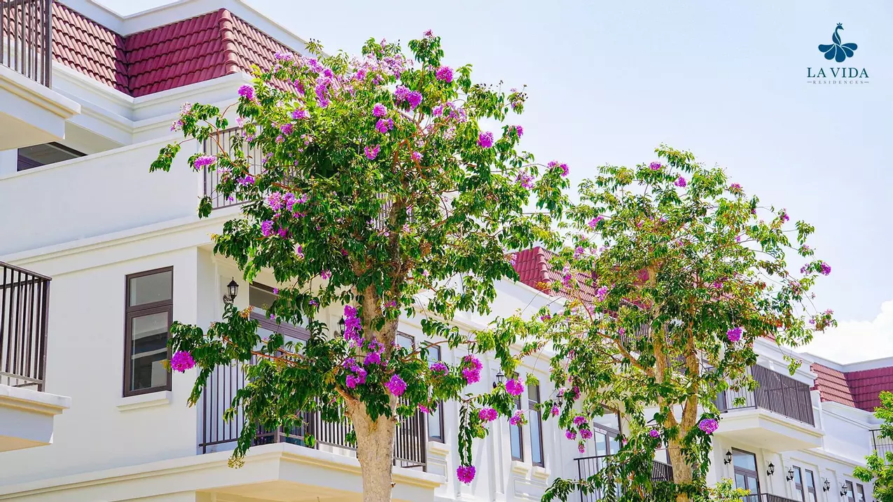 Vung Tau