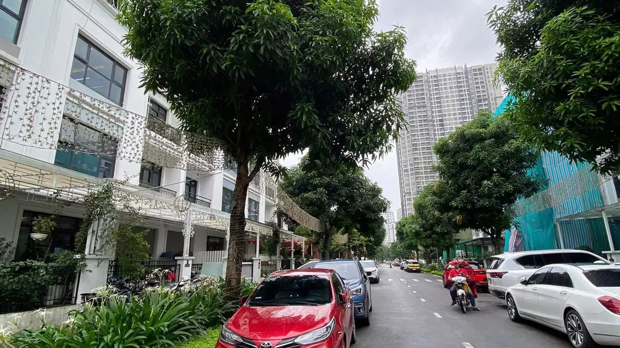 Nam Tu Liem