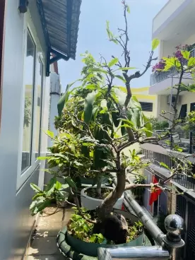 Hai Chau