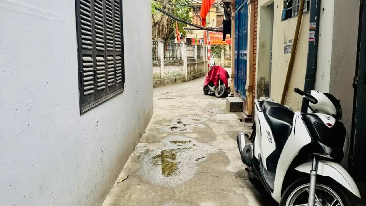 Hoang Mai