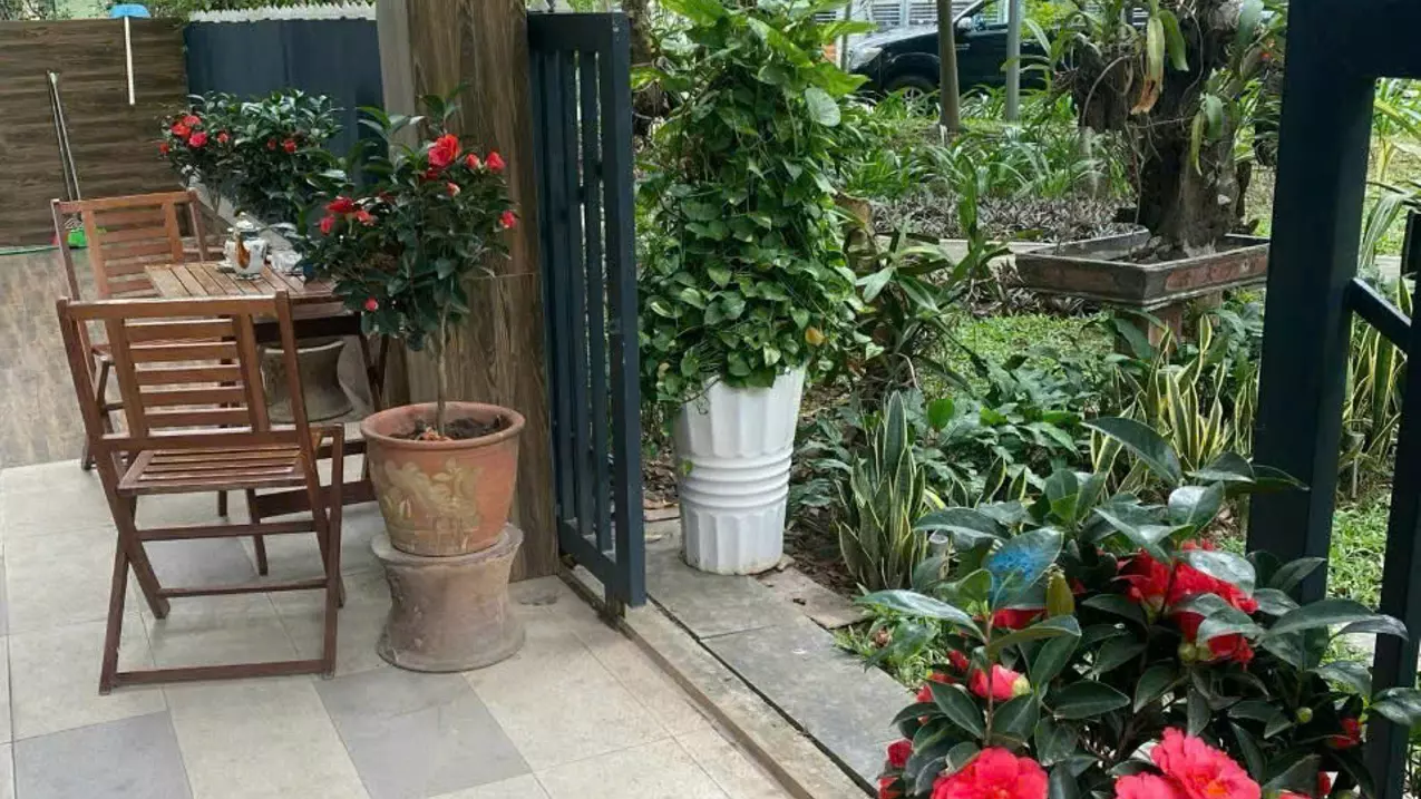 Hoang Mai