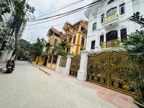 Hoang Mai