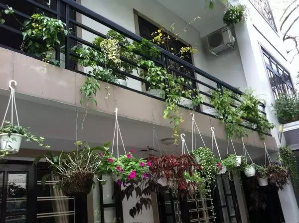 Tan Binh