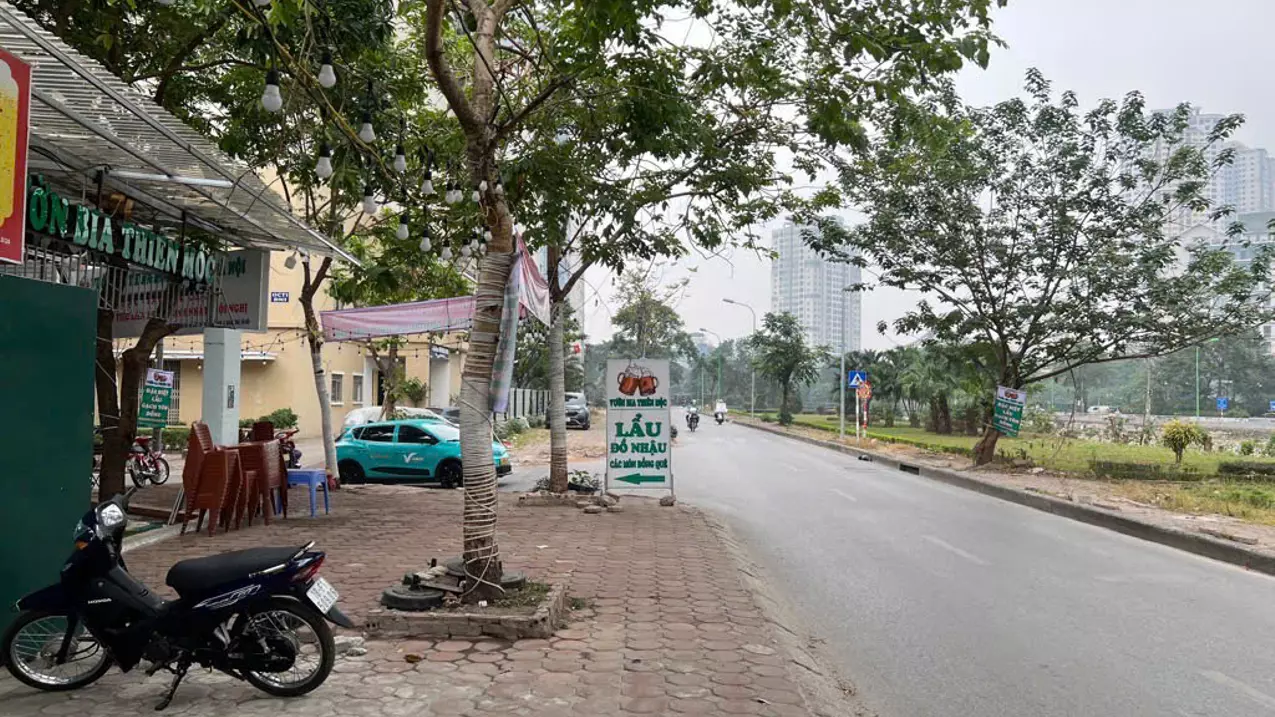 Hoang Mai