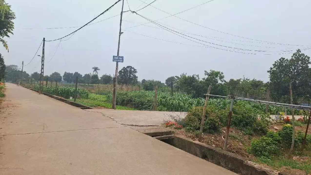 Ha Dong