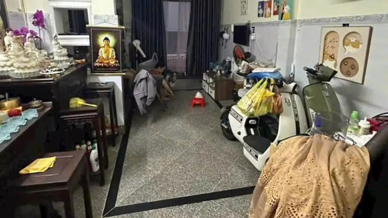 District 8