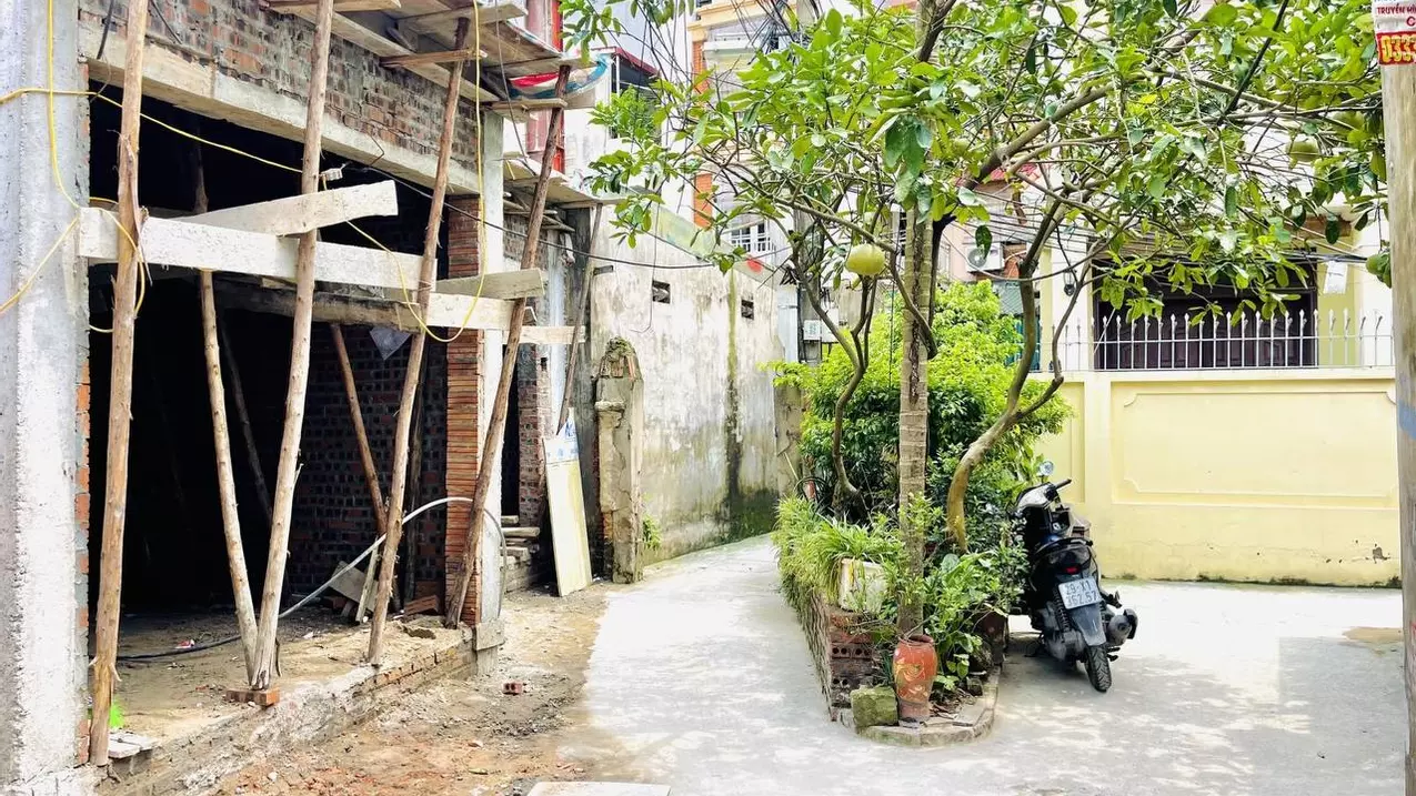 Hoang Mai