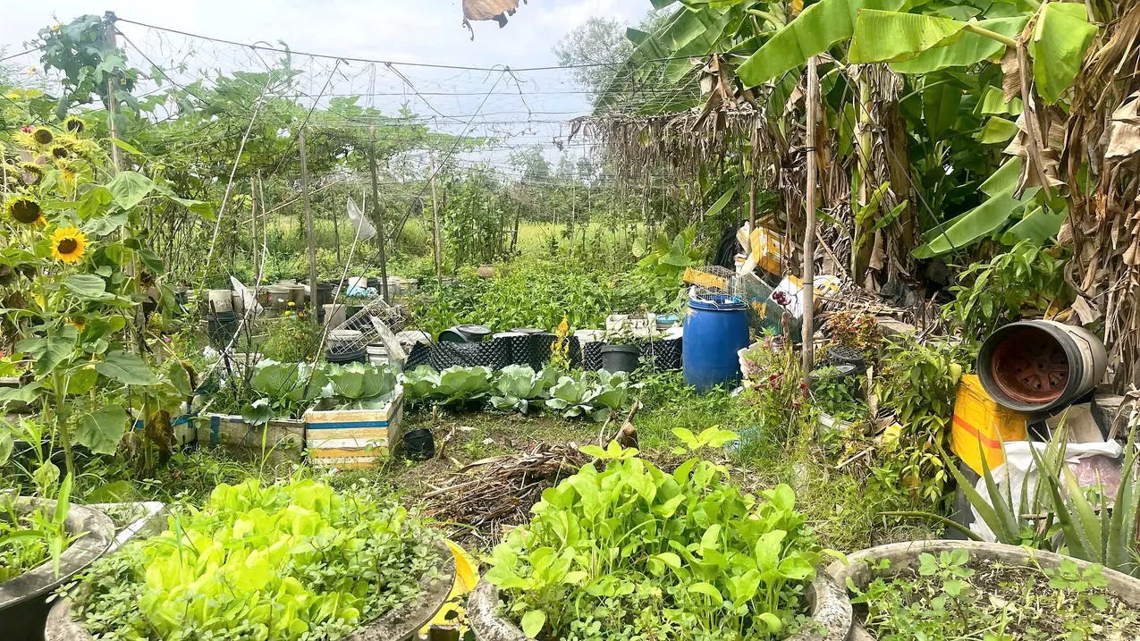 for sale 250m2 residential land in ba gac alley near nh1a