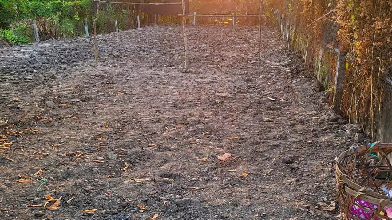for sale 300m2 residential land with car accessibility