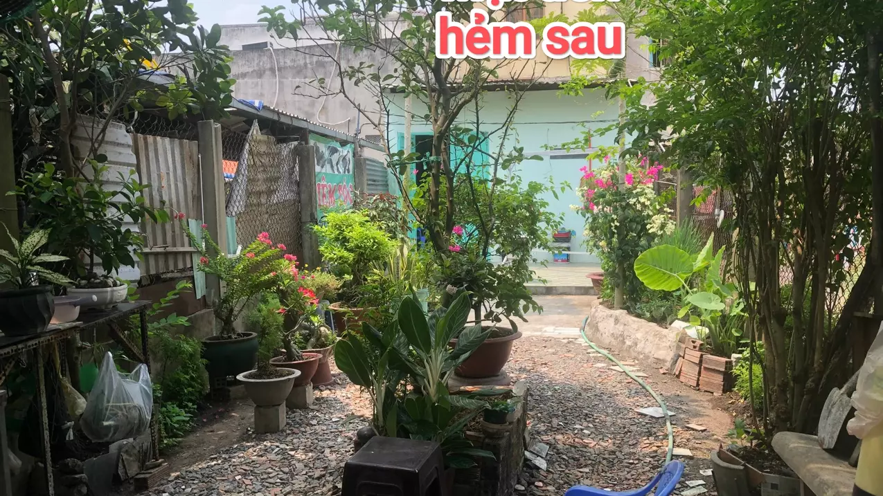 Binh Chanh