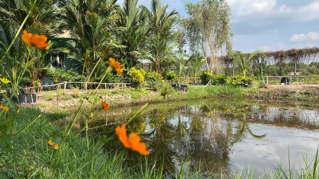 Binh Chanh