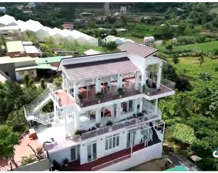 Lam Ha