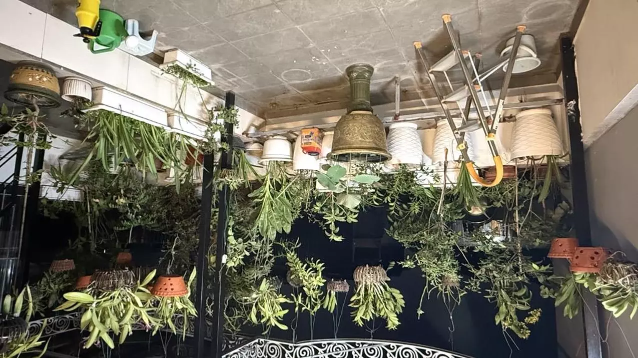 Bac Tu Liem