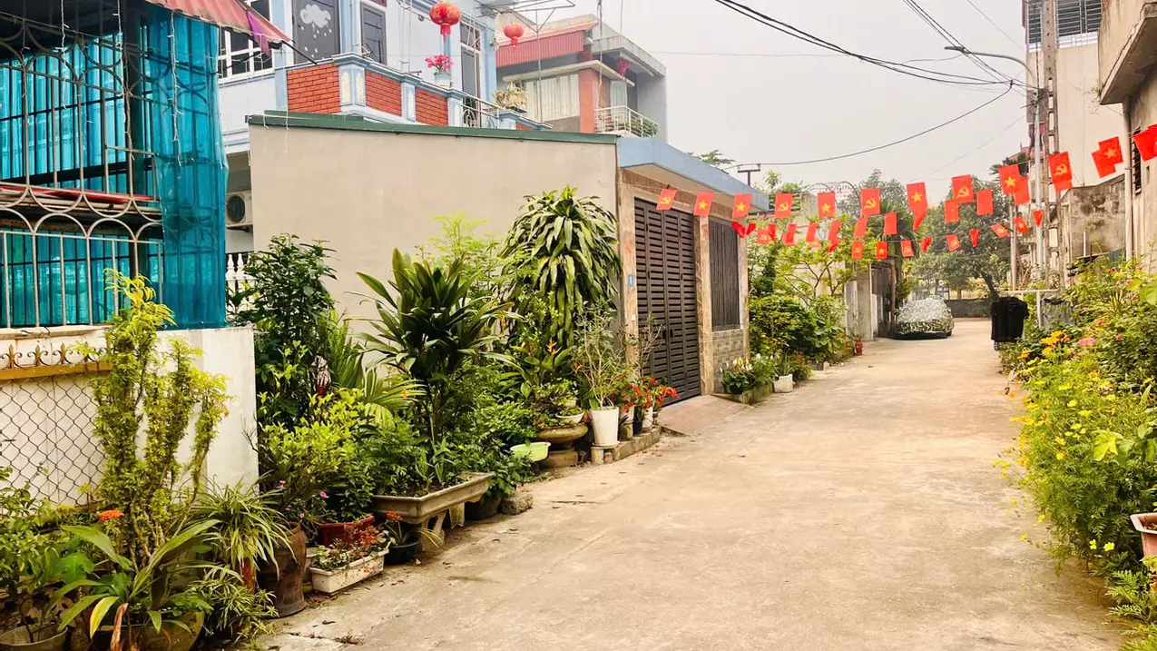 Hoang Mai