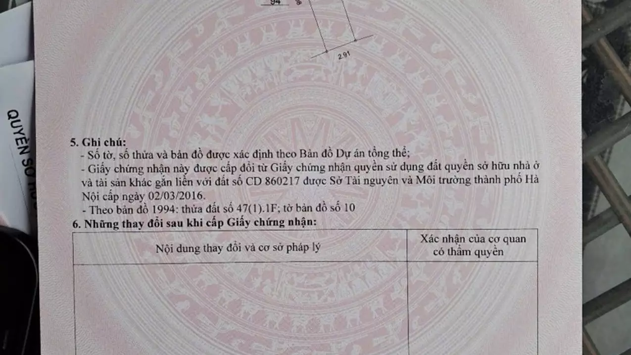 Hoang Mai