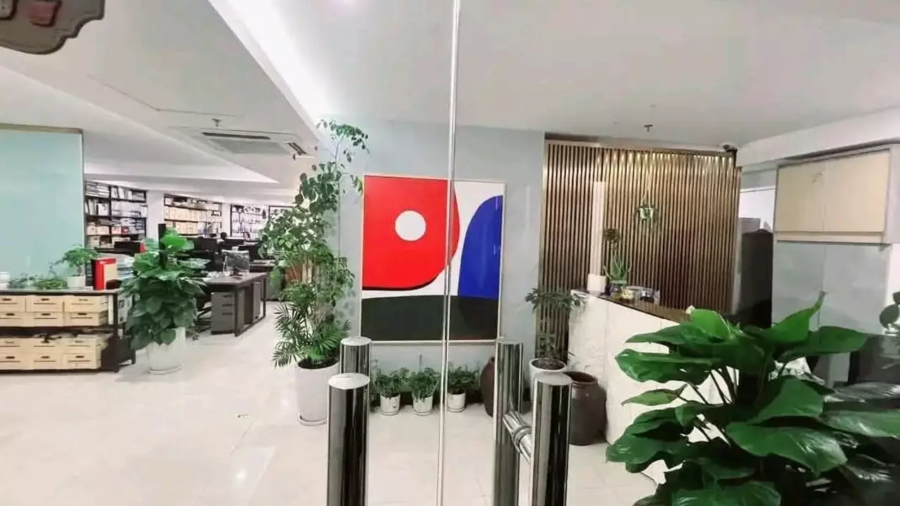 Ba Dinh